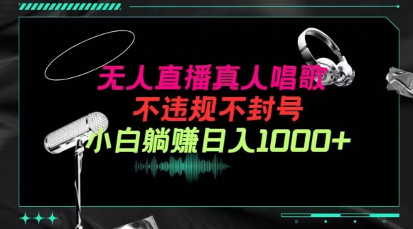 抖音24小时无人直播音乐，不违规，不封号纯撸音浪，小白实操当天日入1000+-可创副业网
