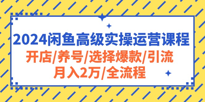 （10711期）2024闲鱼高级实操运营课程：开店/养号/选择爆款/引流/月入2万/全流程-可创副业网