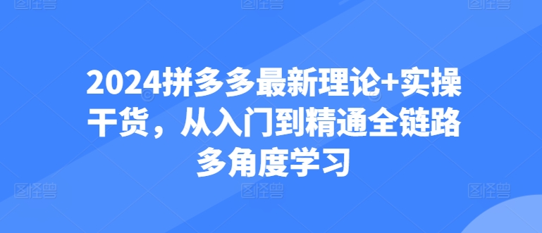 2024拼多多最新理论+实操干货，从入门到精通全链路多角度学习-可创副业网