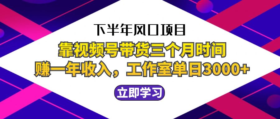 （12849期）下半年风口项目，靠视频号带货三个月时间赚一年收入，工作室实测单日3…-可创副业网