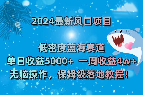 2024最新风口项目 低密度蓝海赛道，日收益5000+周收益4w+ 无脑操作-可创副业网