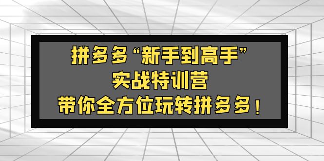 拼多多“新手到高手”实战特训营：带你全方位玩转拼多多！-可创副业网