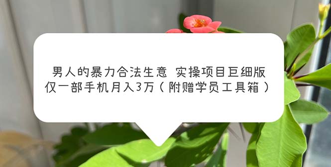 男人的暴力合法生意实操项目巨细版：仅一部手机月入3w（附赠学员工具箱）-可创副业网