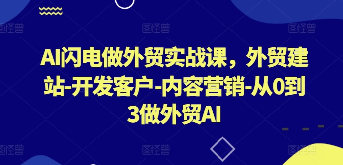 AI闪电做外贸实战课，​外贸建站-开发客户-内容营销-从0到3做外贸AI(更新)-可创副业网