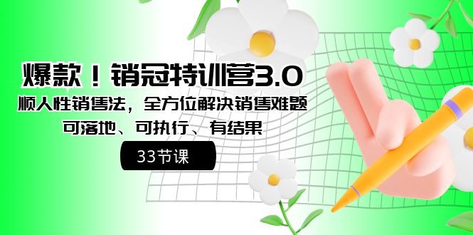 爆款！销冠特训营3.0之顺人性销售法，全方位解决销售难题、可落地-可创副业网