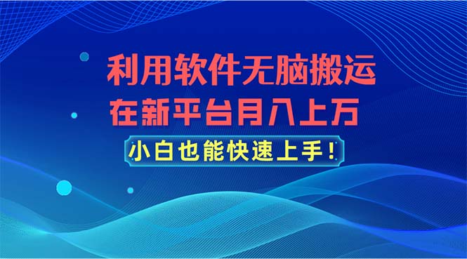 利用软件无脑搬运，在新平台月入上万，小白也能快速上手-可创副业网