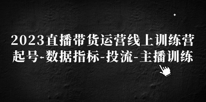 2023直播带货运营线上训练营，起号-数据指标-投流-主播训练-可创副业网