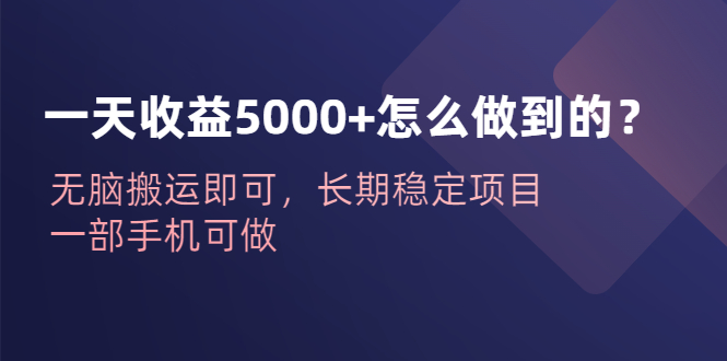 一天收益5000+怎么做到的？无脑搬运即可，长期稳定项目，一部手机可做-可创副业网