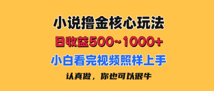 小说撸金核心玩法，日收益500-1000+，小白看完照样上手，0成本有手就行-可创副业网