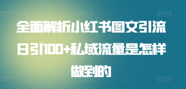 暴力引流 小红书图文引流日引100私域全面拆解【打粉人必看】-可创副业网