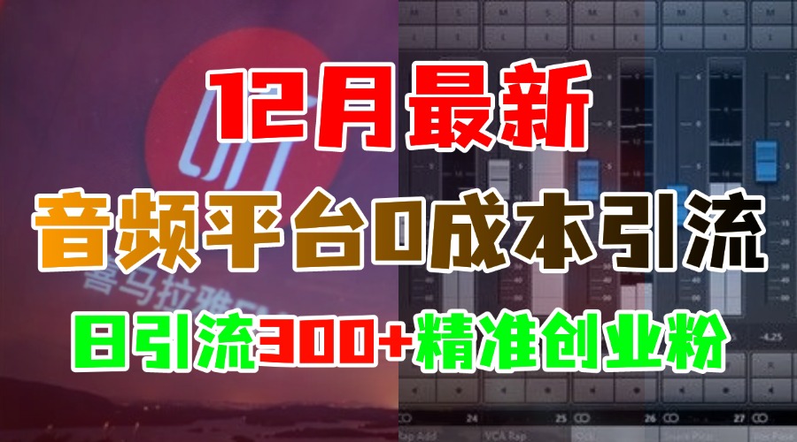 12月最新：音频平台0成本引流，日引300+精准创业粉-可创副业网