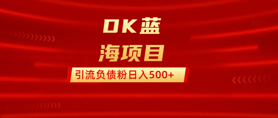 DK蓝海项目  通过，抖音，快手，小红书，引流负债粉日入500+-可创副业网
