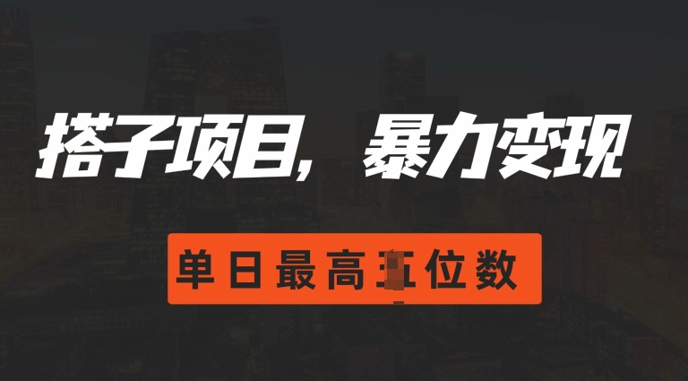 2024搭子玩法，0门槛，暴力变现，单日最高破四位数【揭秘】-可创副业网