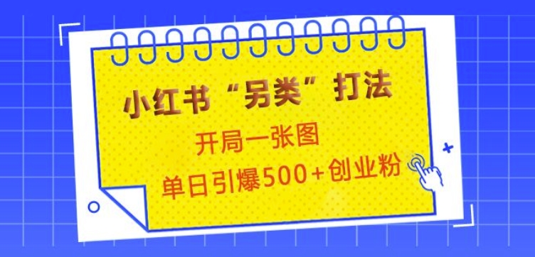 小红书“另类”打法，开局一张图，单日引爆500+精准创业粉【揭秘】-可创副业网