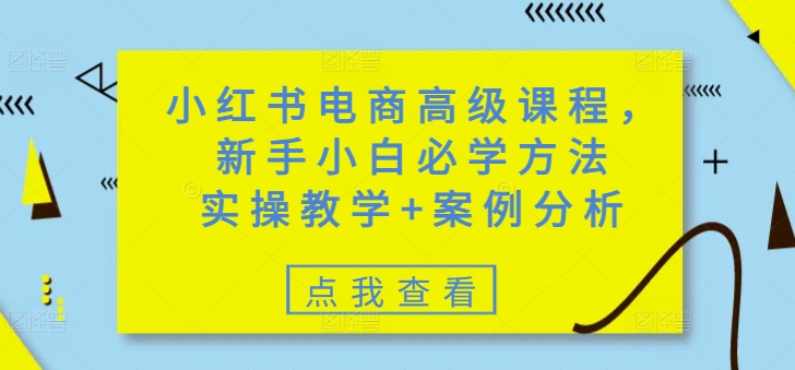 小红书电商高级课程，新手小白必学方法，实操教学+案例分析-可创副业网