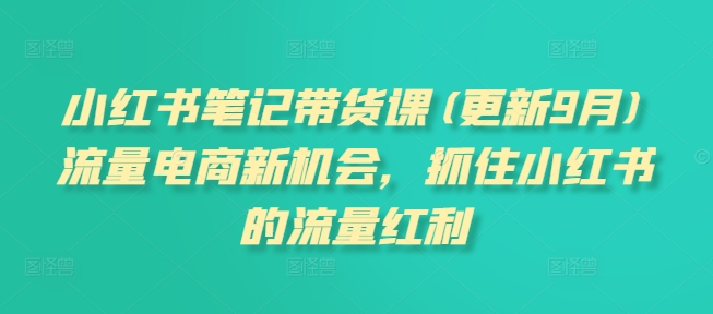 小红书笔记带货课(更新25年2月)流量电商新机会，抓住小红书的流量红利-可创副业网