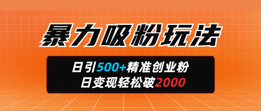 暴力吸粉玩法，日引500+精准创业粉，日变现轻松破2000-可创副业网