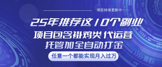 25年推荐这10个副业项目包含褂鸡类、代运营托管类、全自动打金类【揭秘】-可创副业网