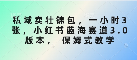 私域卖壮锦包，一小时3张，小红书蓝海赛道3.0版本， 保姆式教学-可创副业网
