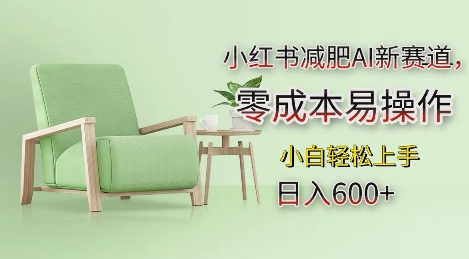 小红书减肥AI新赛道，零成本易操作，日入多张，小白轻松上手【揭秘】-可创副业网