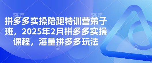 拼多多实操陪跑特训营弟子班，2025年2月拼多多实操课程，海量拼多多玩法-可创副业网