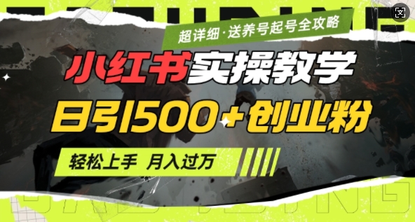 2月小红书最新日引500+创业粉实操教学【超详细】小白轻松上手，月入1W+，附小红书养号起号SOP-可创副业网