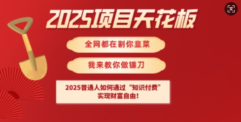 2025项目天花板普通人如何通过知识付费，实现财F自由【揭秘】-可创副业网