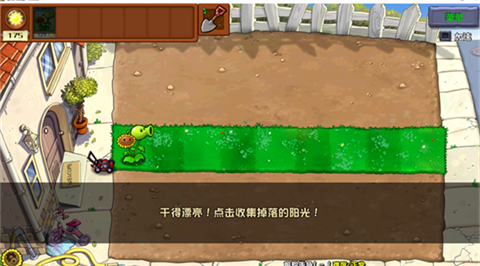 植物大战僵尸杂交版3.9.9