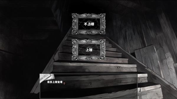 啮齿动物No44观察记录完整版