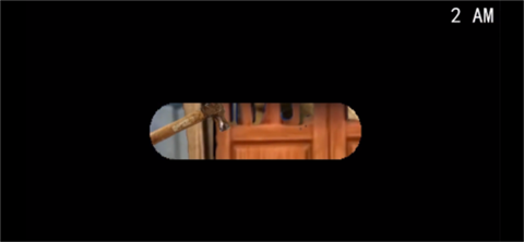 熊大的午夜后宫