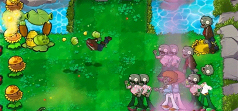 植物大战僵尸杂交版直装版