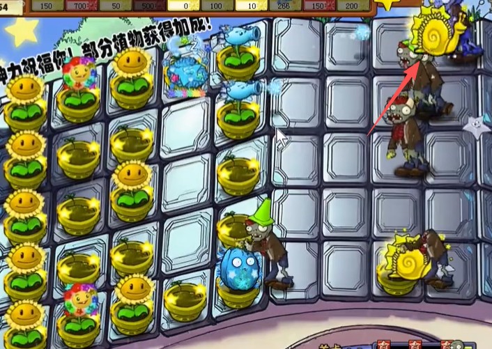 植物大战僵尸杨桃版