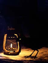 命运之塔-可创游戏社区